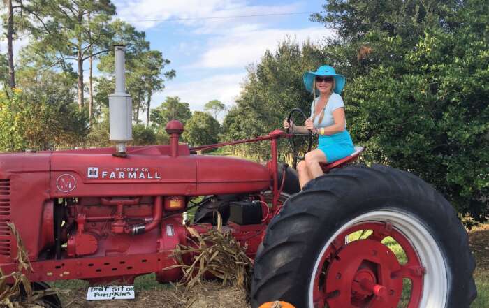Best Months to Pick Fruits and Nuts on Farms in Georgia farm tractor