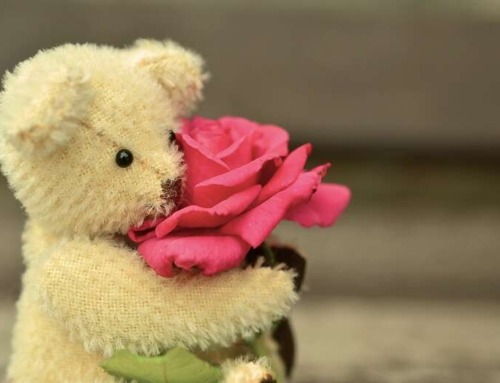 Surviving Valentine’s Day When You’re Alone