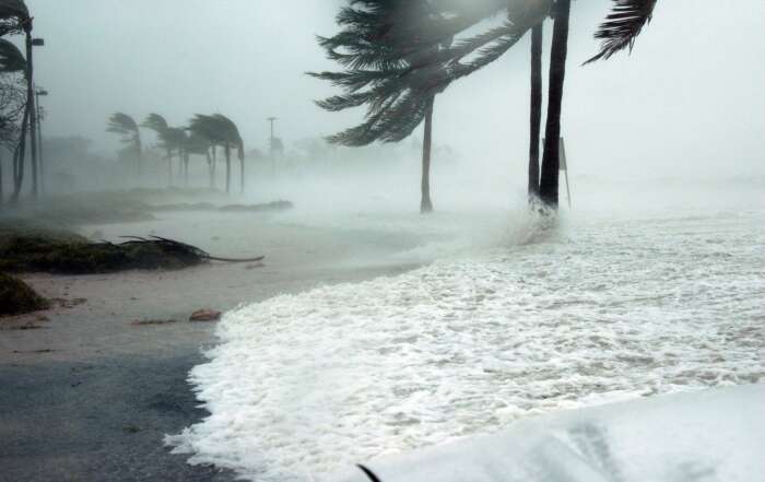 Best Hurricane Stress-Relieving Tips from a Floridian on Google Search for "hurricane tips" or "hurricne"