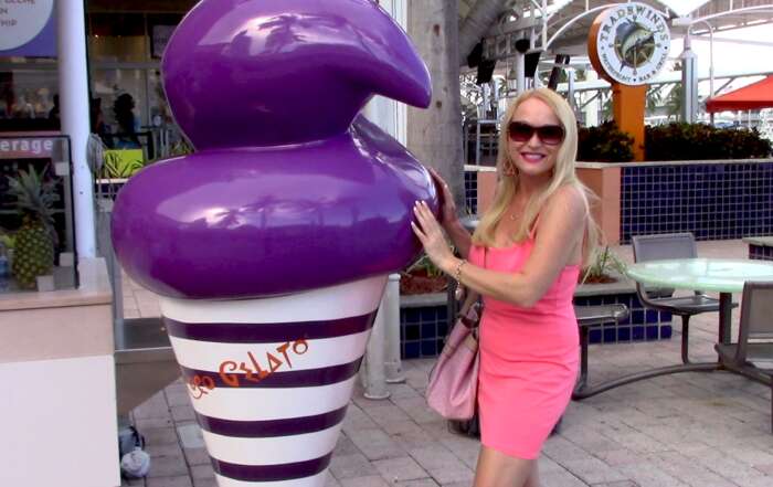 Sweet Guide of Best Fancy Shopping Areas in Miami, Florida Miami Shopping Areas