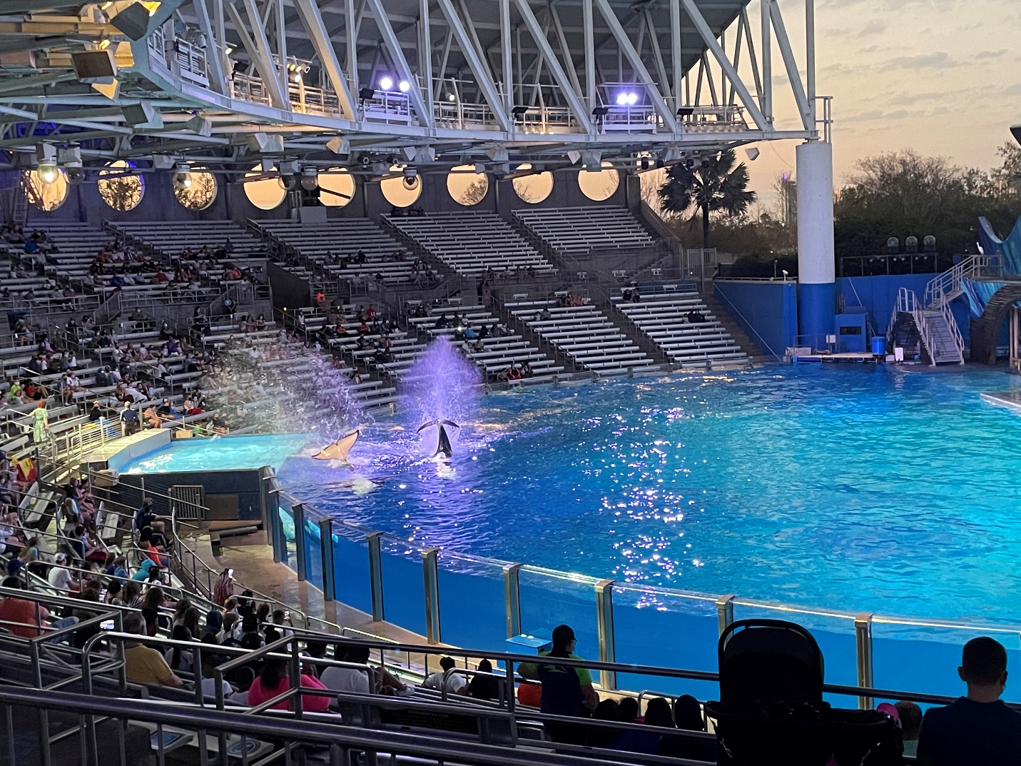 A picture containing outdoor, blue Description automatically generated