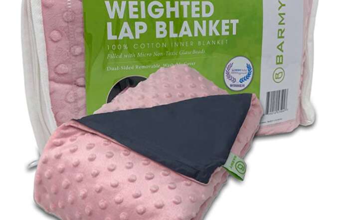 Barmy Travel Products Are Worth Their Weight in Gold barmy weighted lap blanket