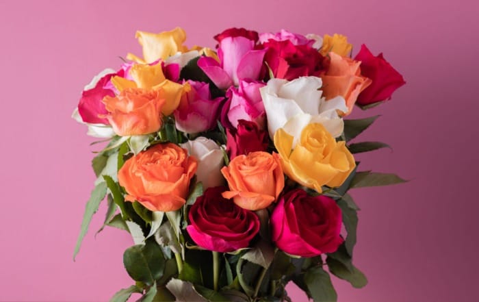meaning of color roses