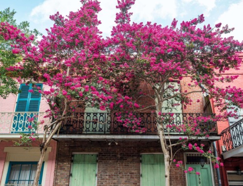 How to Spend a Lovely Weekend in New Orleans