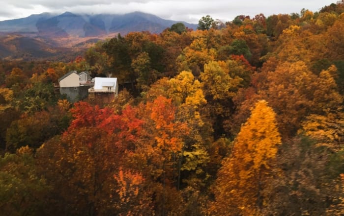 Fall Foliage Fiesta: The Best Places to See Changing Autumn Leaves in the United States tennessee autumn leaves