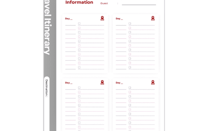 Travel Itinerary- printable Travel Itinerary plane