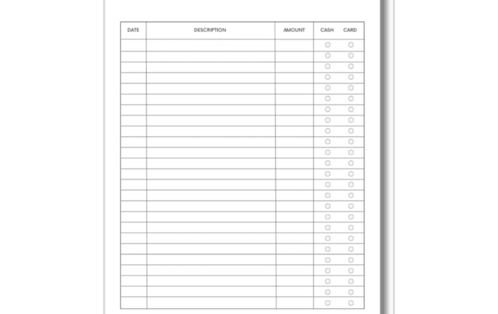 Travel Spending Tracker roman