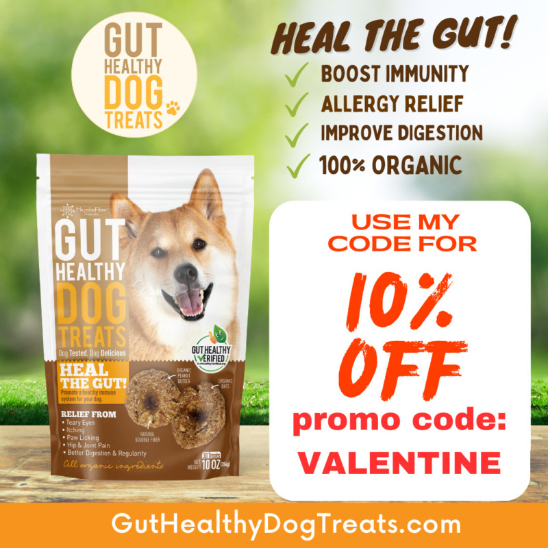 5 Best Exercises You Can Do On a Plane To Stay Fit and Healthy Michelle Valentine Love Eat