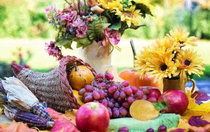 Gobble Up Adventure: Unique Places to Spend Thanksgiving purple thanksgiving