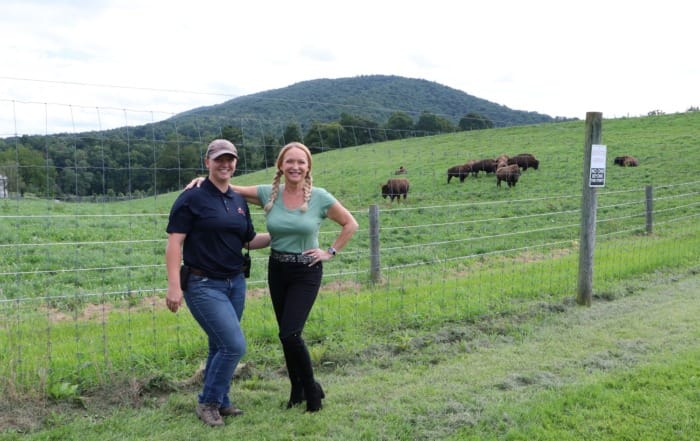 December Road Trips: Exploring America's National Parks Bison Park Pennsylvania