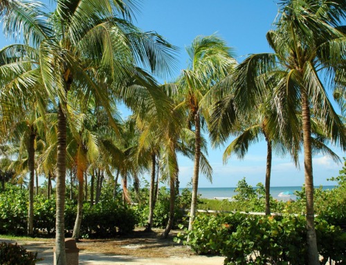 5 Romantic Beachy Destinations in Florida