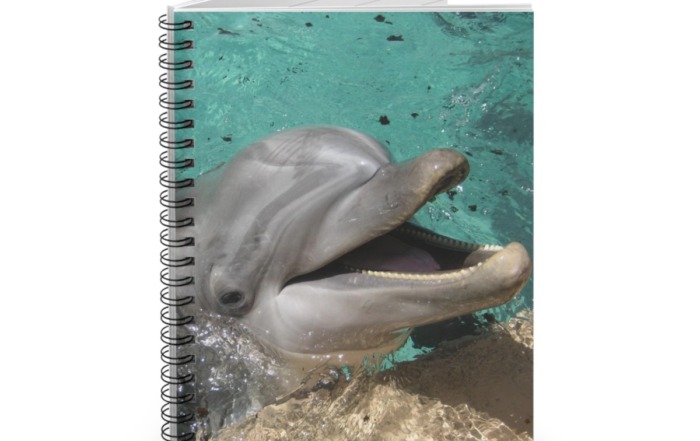 Michelle Valentine "Smiling Dolphin" Original Photography Spiral Notebook 11079964600511412664_2048.jpeg