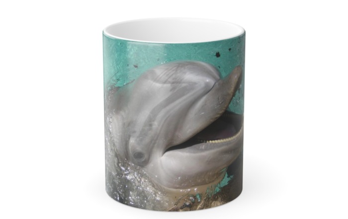 Michelle Valentine Magical Travel Mug – Heat-Revealed Photography “Smiling Dolphin” 5220762567885833184_2048.jpeg
