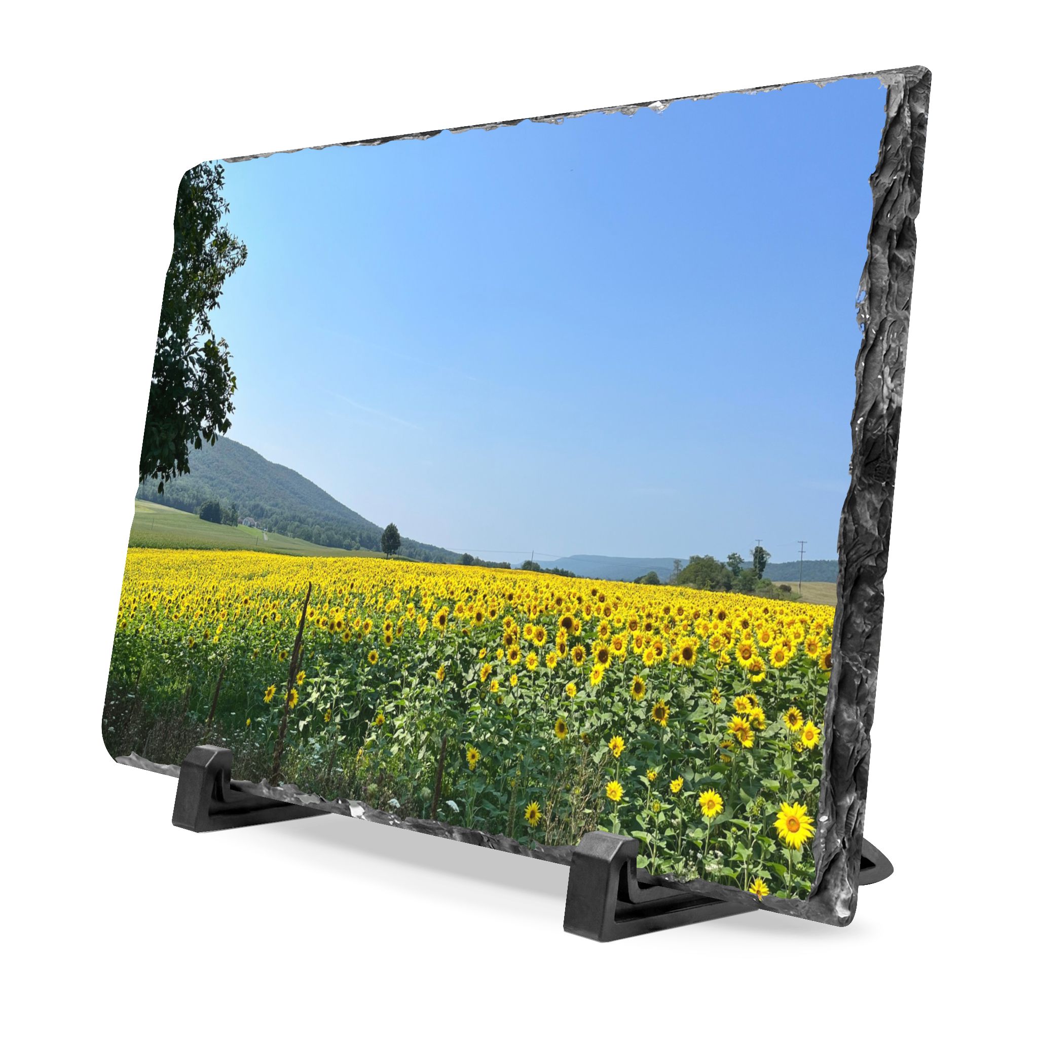 Slate Art "Yellow Flower Field" - Image 3