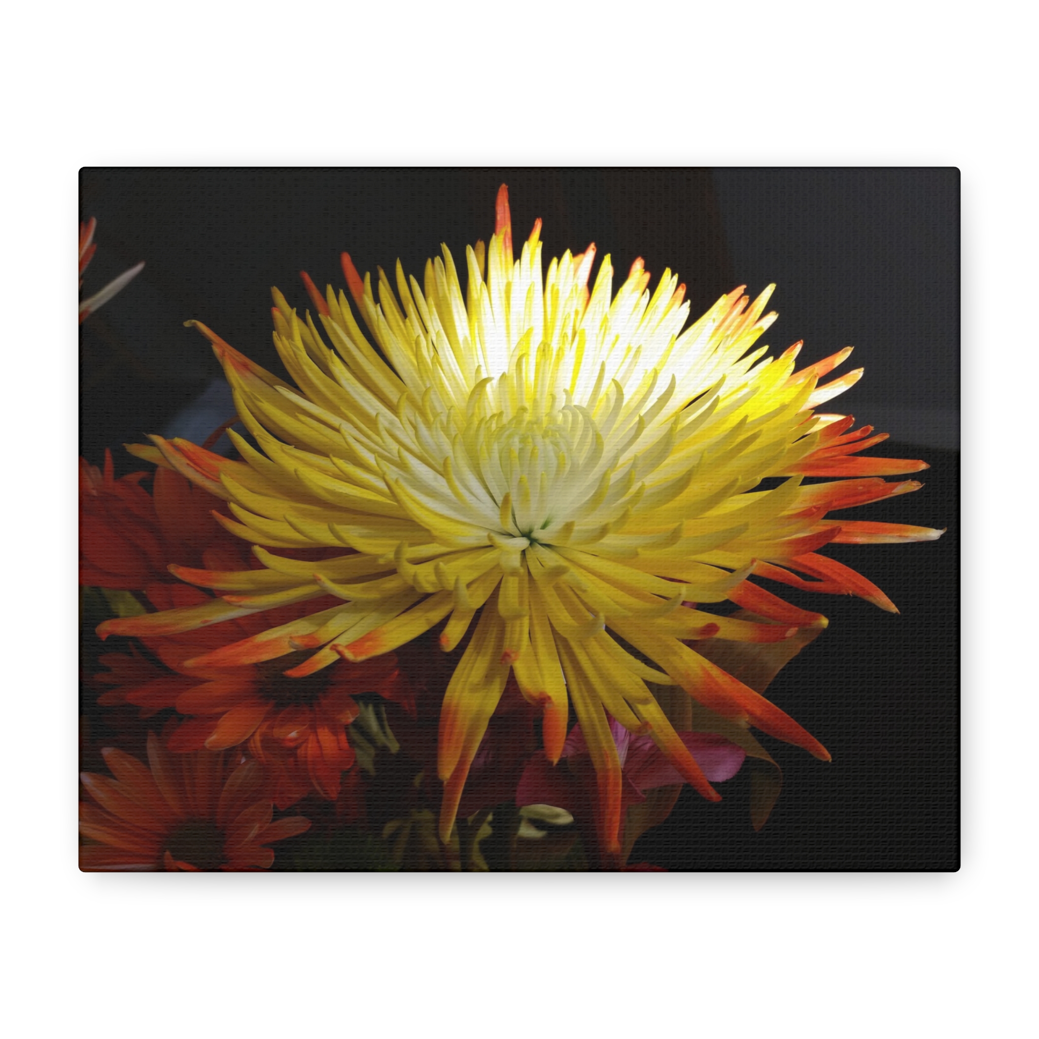 Canvas Print "Evening Bloom" - Image 2