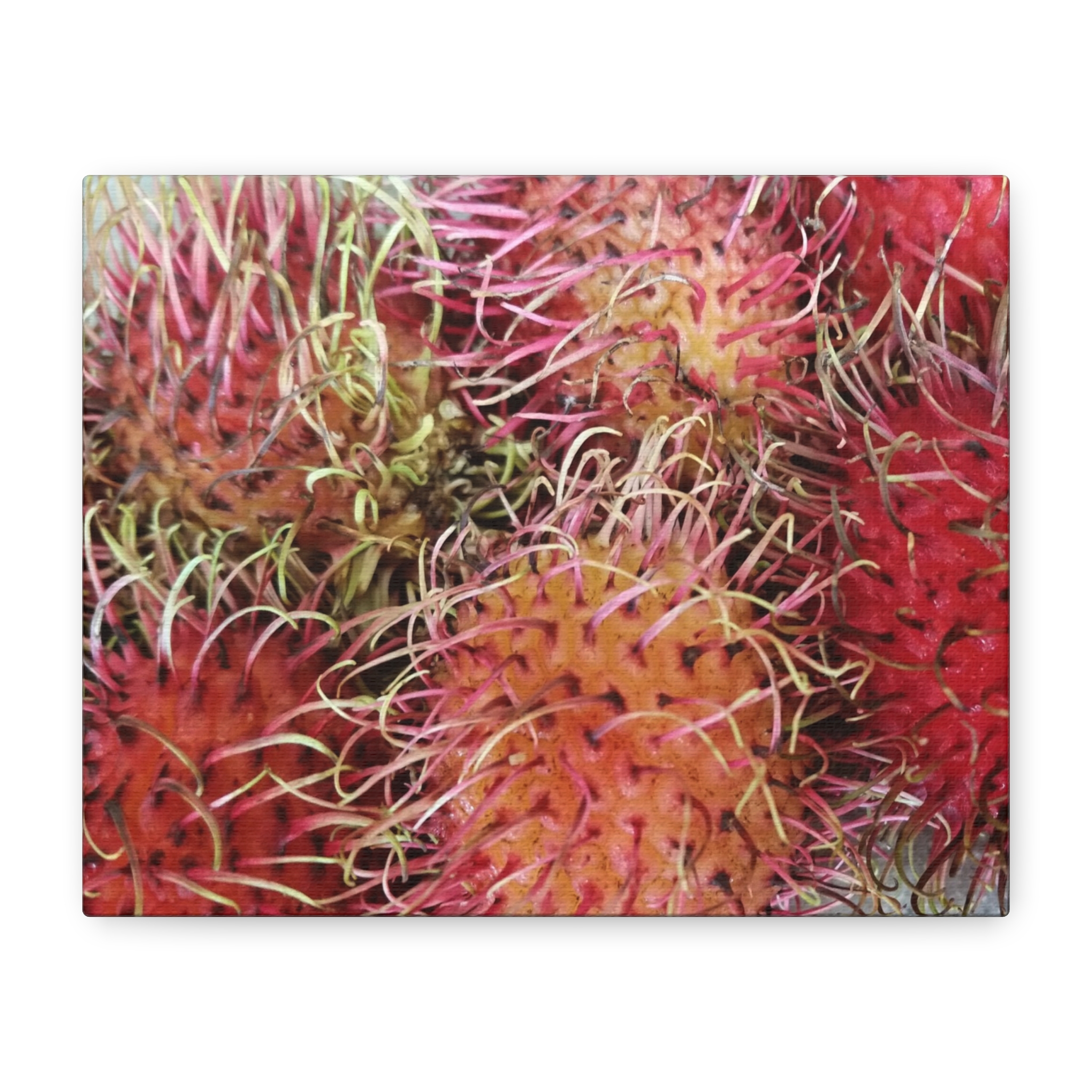 Canvas Print “Red Rambutan” - Image 2