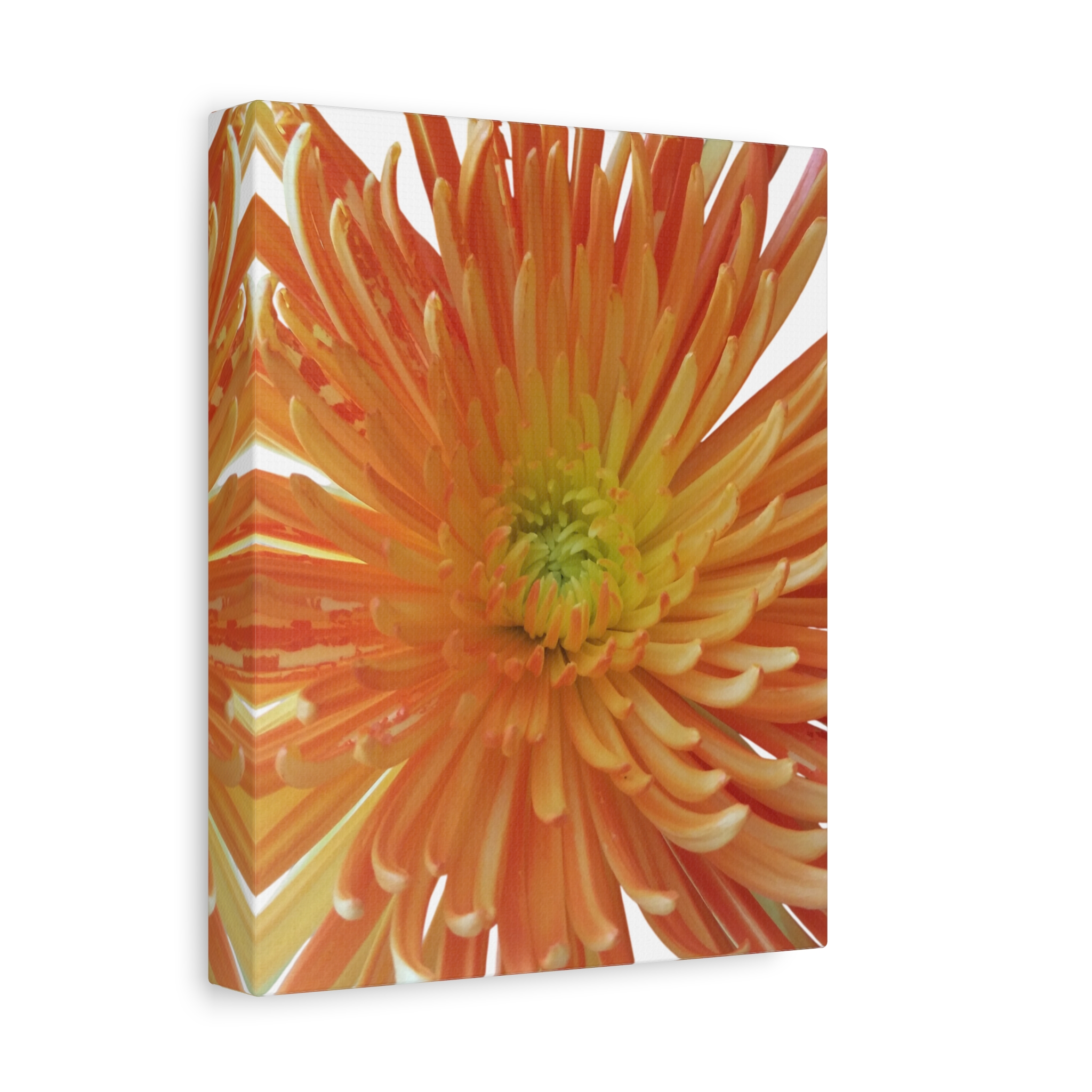 Canvas Print "Orange Bloom"