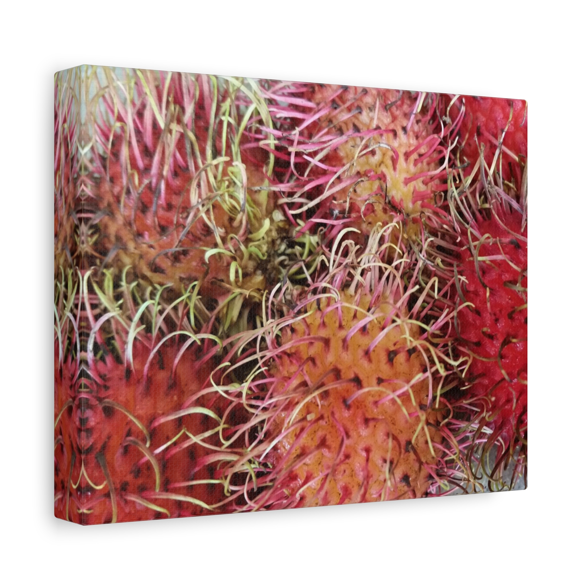 Canvas Print “Red Rambutan”