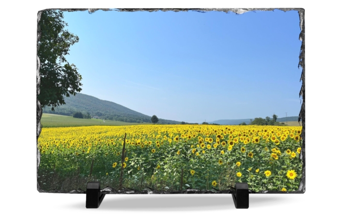 Slate Art "Yellow Flower Field" 18045688292263012167_2048.jpeg