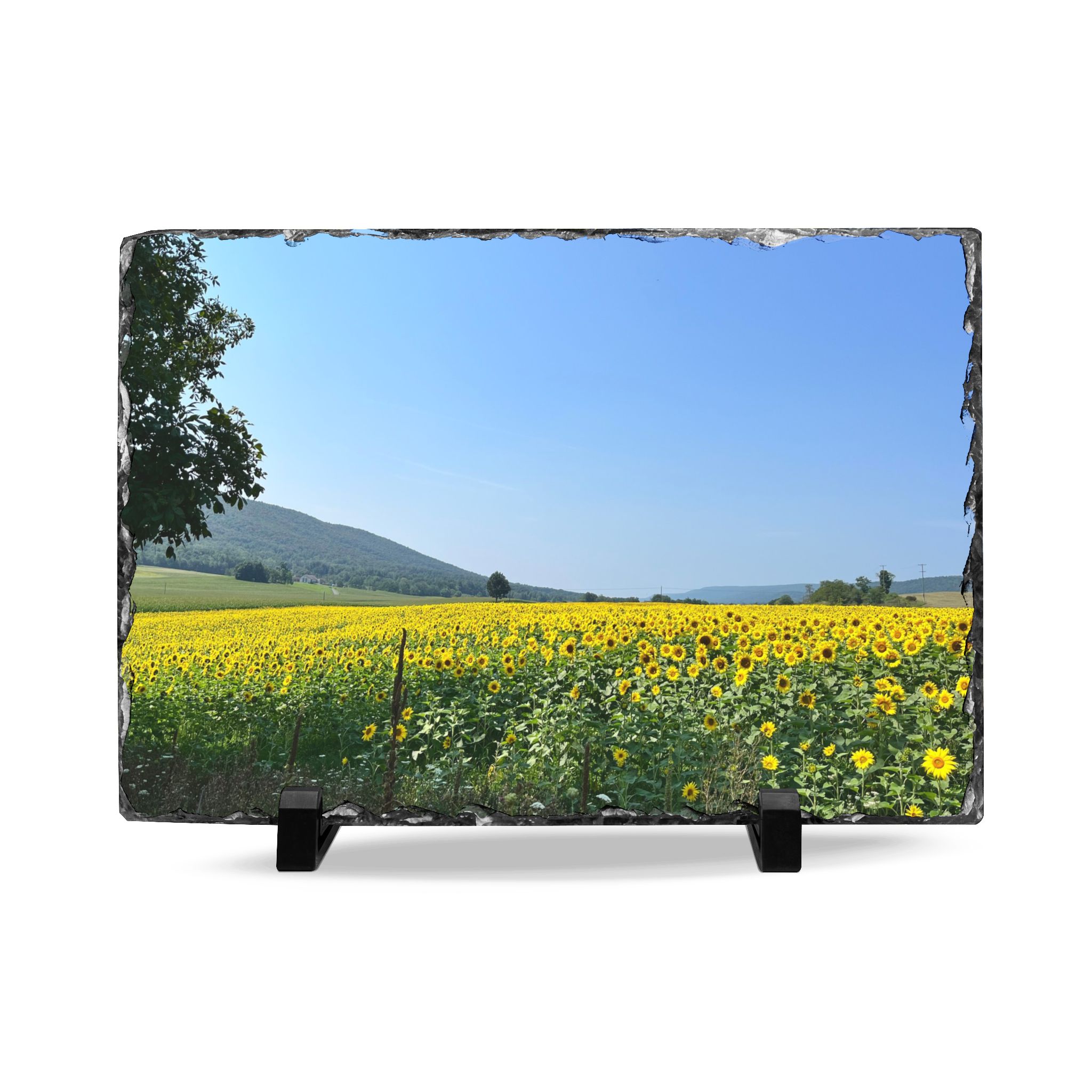 Slate Art "Yellow Flower Field"