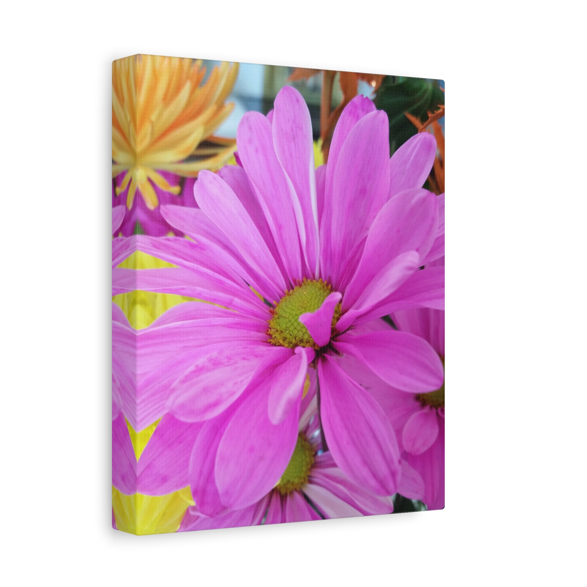 Canvas Print "Plenty of Petals"