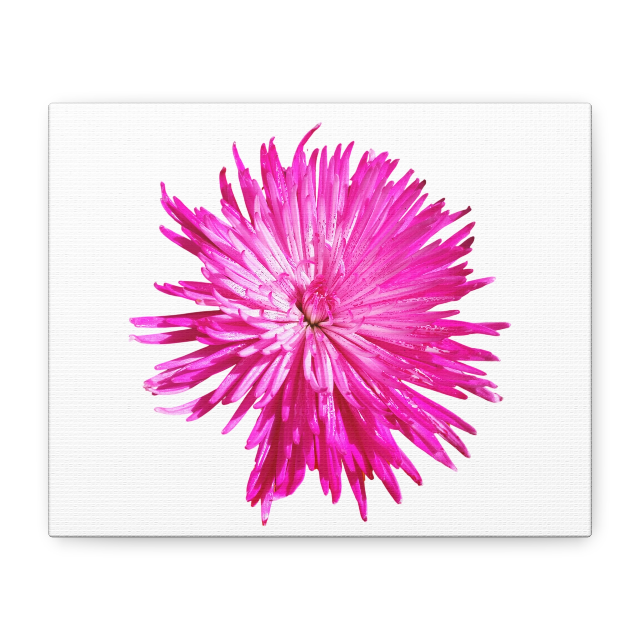 Canvas Print "Pink Bloom" - Image 2