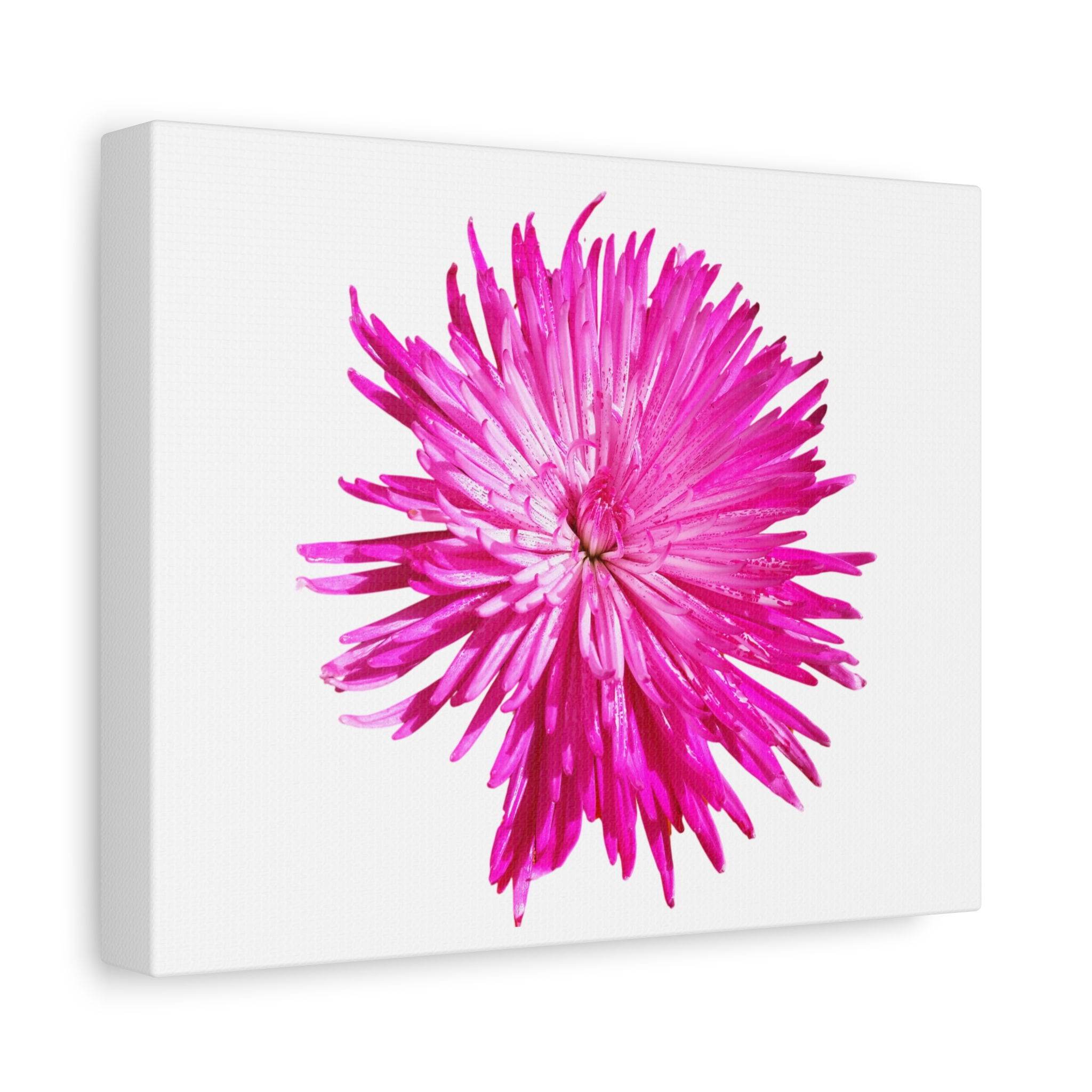 Canvas Print "Pink Bloom"