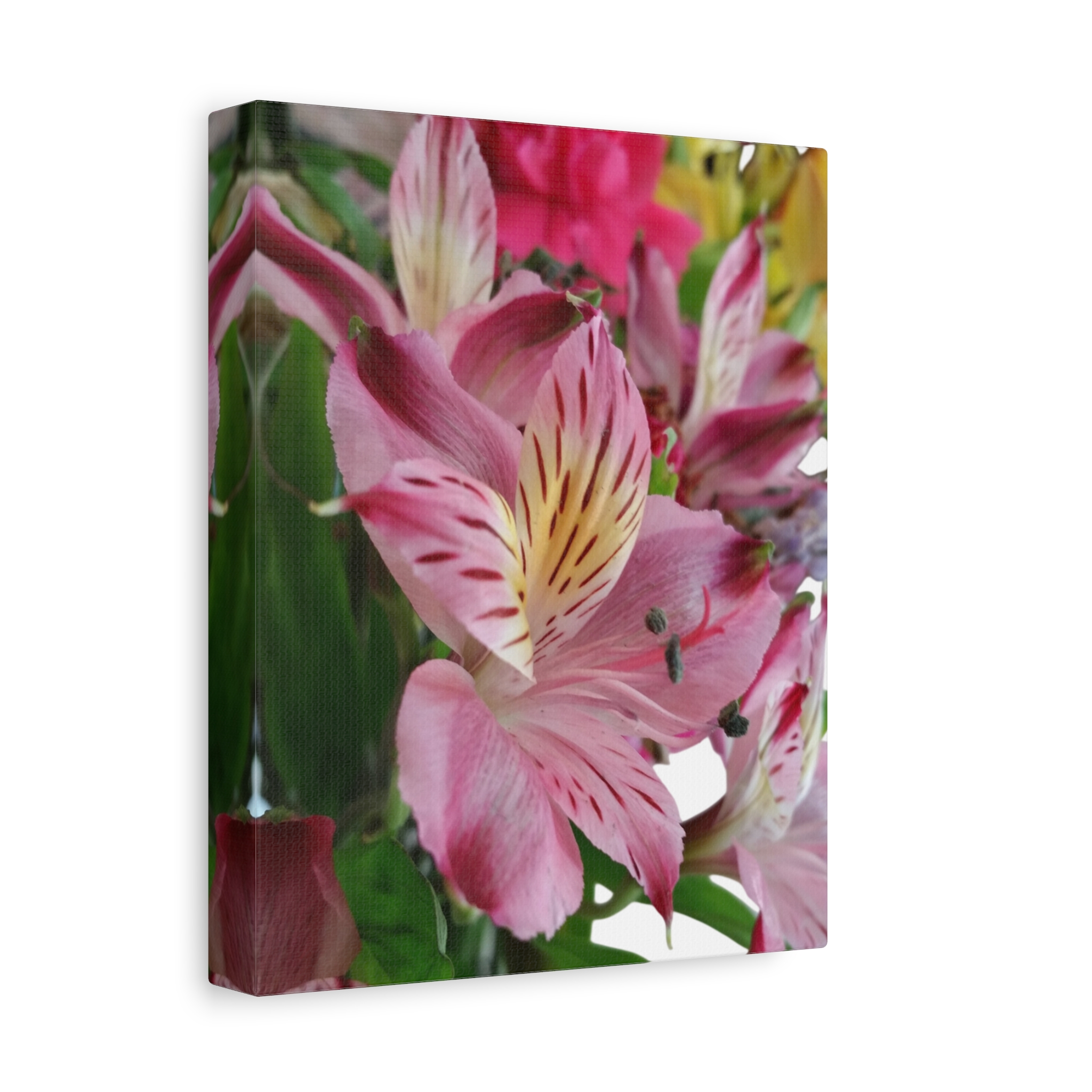 Canvas Print "Pink Whisper"