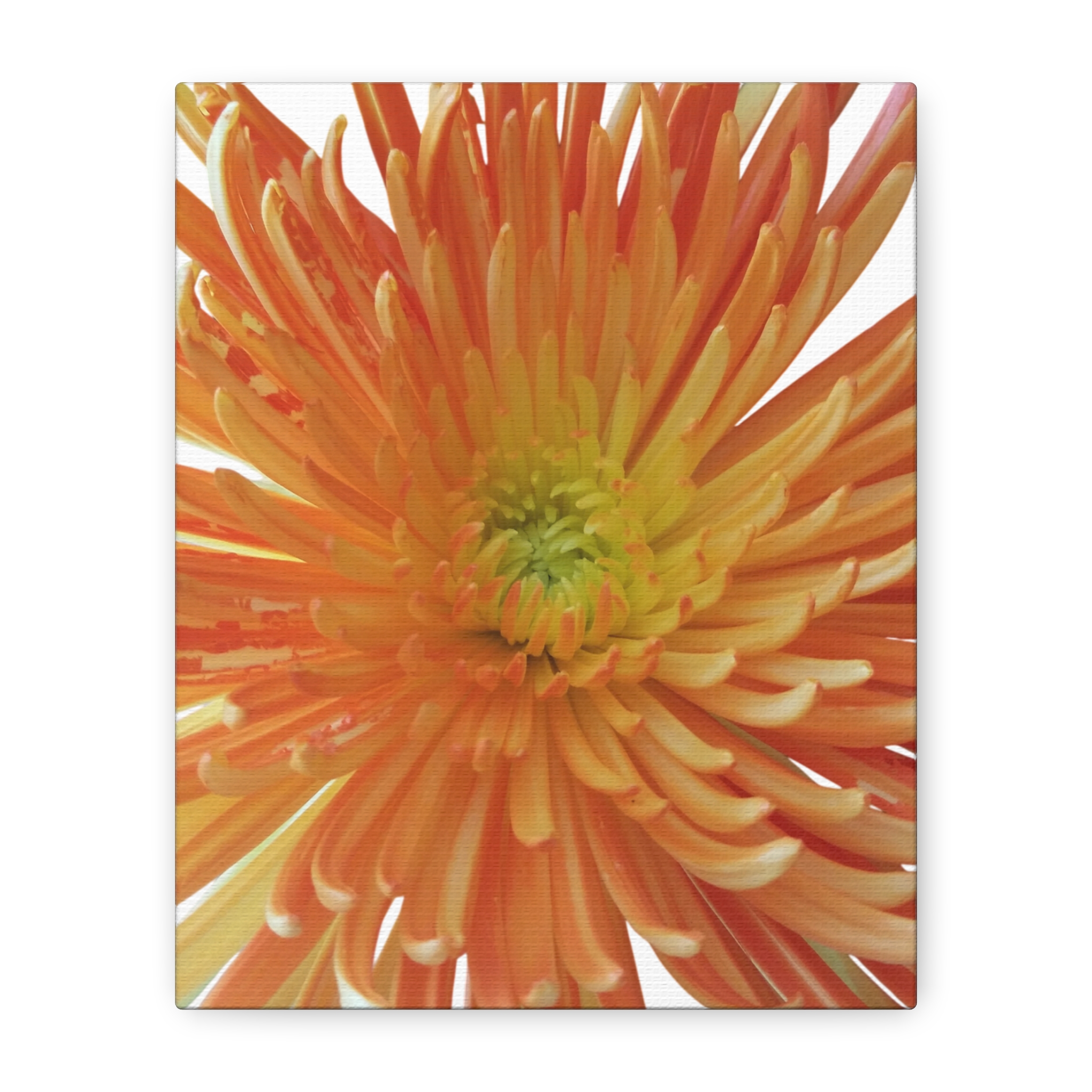 Canvas Print "Orange Bloom" - Image 2