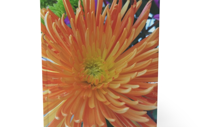 Hardcover Journal "Orange Bloom" 14080202749788343890_2048.jpeg
