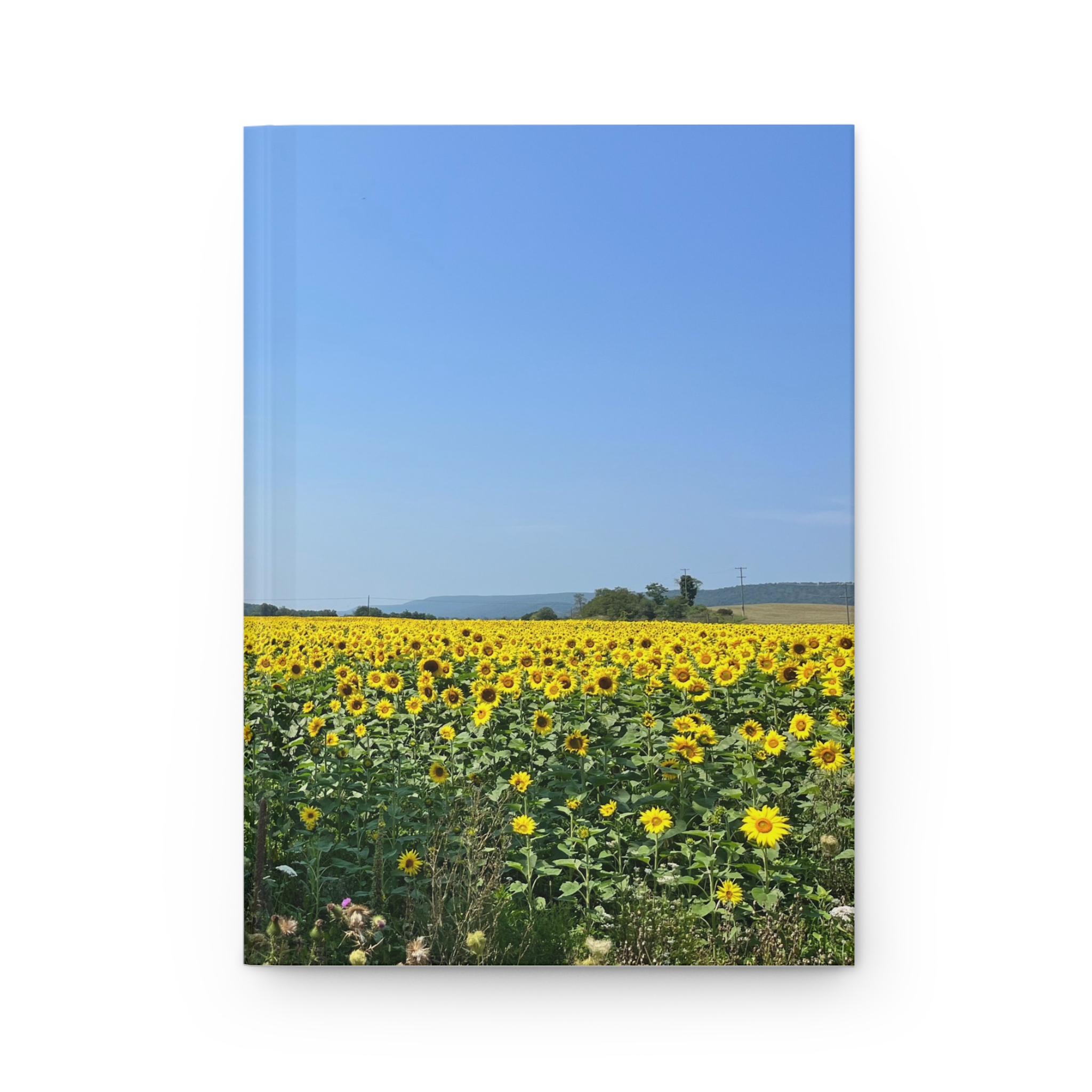 Hardcover Journal "Yellow Flower Field" - Image 2