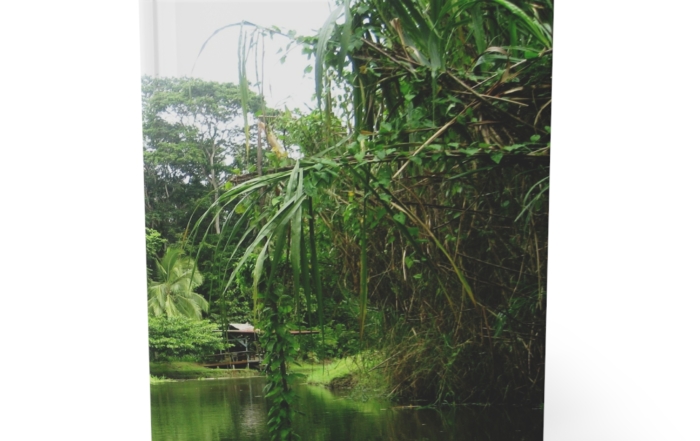 Hardcover Journal "Sanctuary" 5793835350980082145_2048.jpeg