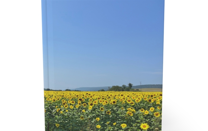 Hardcover Journal "Yellow Flower Field" 7191450023416643712_2048.jpeg